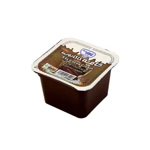 خامه کاکائویی نیم چرب پگاه حجم 100 گرم