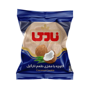 کلوچه نارگیلی دوقلو نادی حجم 100 گرم